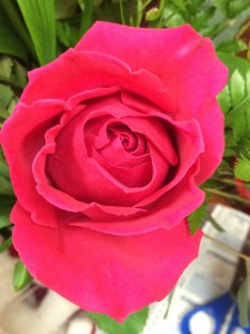 Lurve is Like a Red, Red Rose